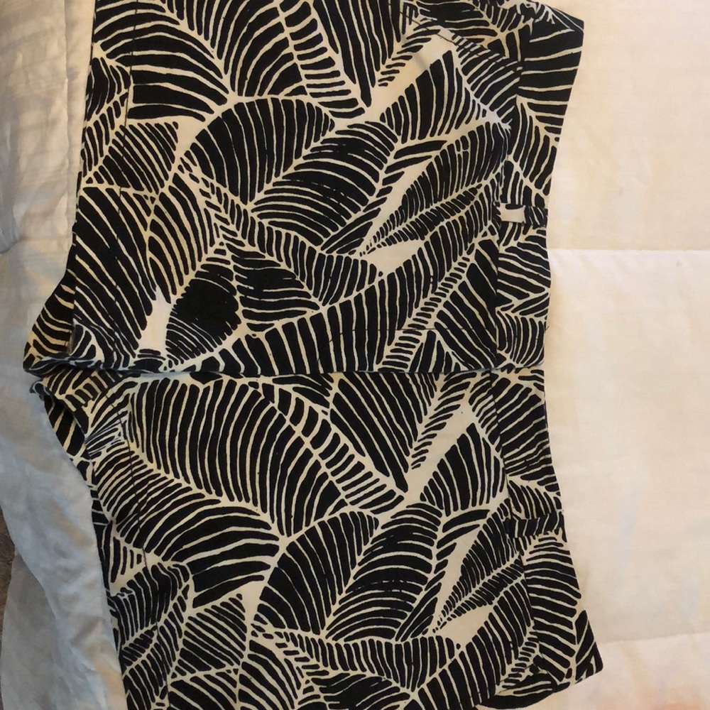 Ann Taylor Loft Shorts